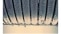 AF205617.tif